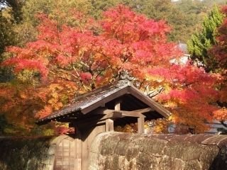 特別史跡旧閑谷学校の紅葉の写真３