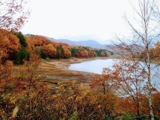 恩原高原の紅葉の写真３