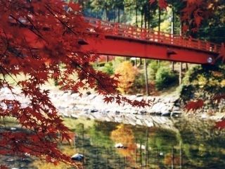 宇甘渓の紅葉写真１