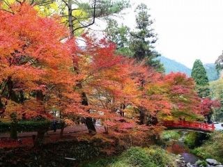 大寧寺の紅葉写真１