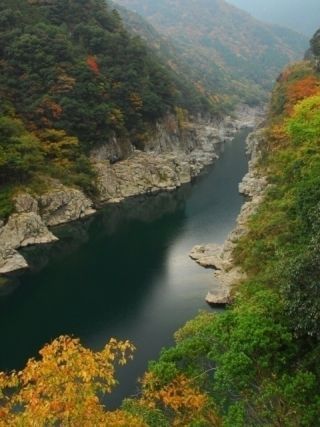 大歩危・小歩危の紅葉写真２