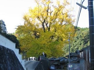 塩江温泉郷の紅葉写真２