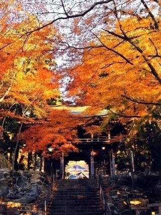 大窪寺の紅葉写真２