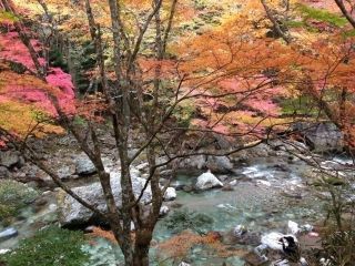 小田深山渓谷の紅葉写真１