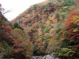 べふ峡の紅葉写真２