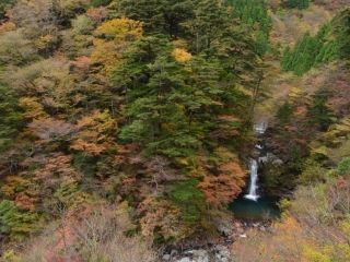 べふ峡の紅葉の写真４