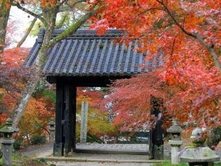 秋月城跡の紅葉写真１