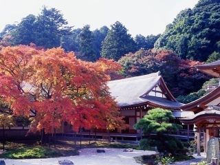 雷山千如寺大悲王院の紅葉写真１