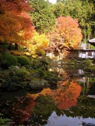 雷山千如寺大悲王院の紅葉写真２