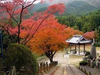 雷山千如寺大悲王院の紅葉の写真３