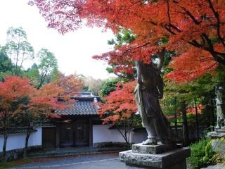 呑山観音寺の紅葉写真１