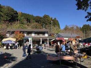 呑山観音寺の紅葉の写真４