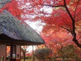 九年庵の紅葉写真１