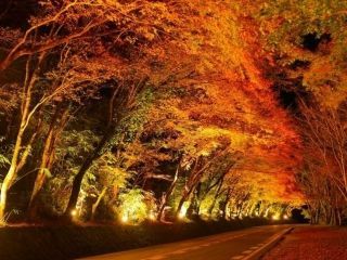 深耶馬溪の紅葉の写真３