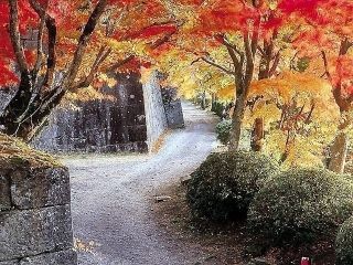 国指定史跡 岡城跡の紅葉写真１