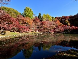 用作公園の紅葉写真１