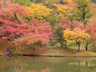 用作公園の紅葉写真２