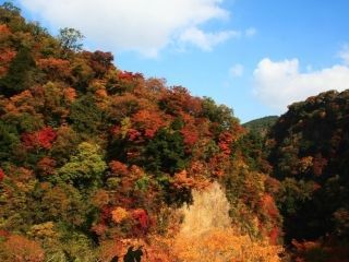 九酔渓の紅葉写真１