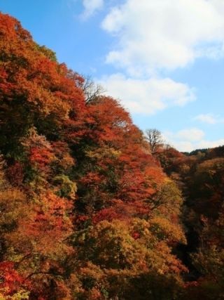 九酔渓の紅葉写真２