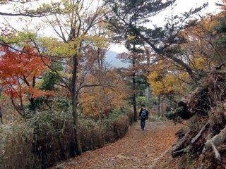 えびの高原の紅葉写真２