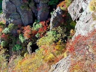 祖母山の紅葉写真１