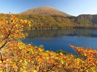 県道1号線（小林えびの高原牧園線）の紅葉写真２