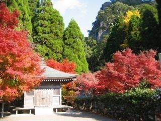 冠岳の紅葉の写真３