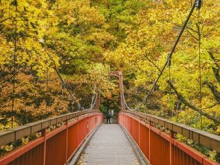 定山渓の紅葉の写真４