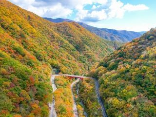 仙人峠の紅葉写真１