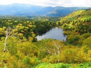 八幡平の紅葉写真１