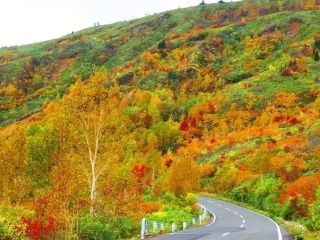 八幡平の紅葉写真２