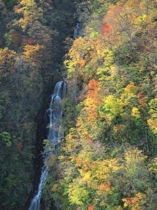 蔵王エコーライン（宮城県側）の紅葉写真２