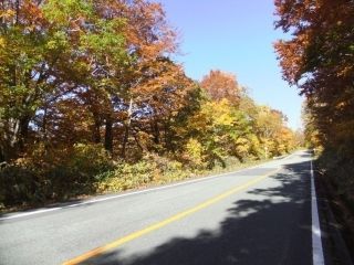 蔵王エコーライン（山形県側）の紅葉の写真３