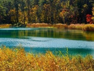 五色沼湖沼群の紅葉写真２