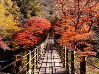 花貫渓谷の紅葉写真２