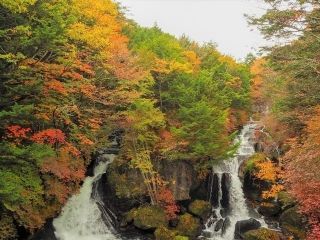 竜頭滝の紅葉写真１