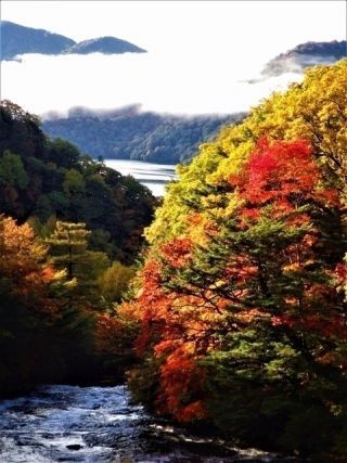 竜頭滝の紅葉の写真４