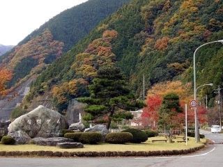 名栗湖の紅葉写真２