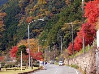 名栗湖の紅葉の写真３