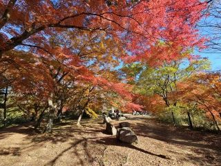 嵐山渓谷の紅葉写真２