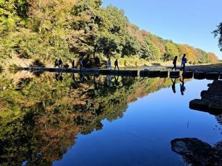 嵐山渓谷の紅葉の写真３