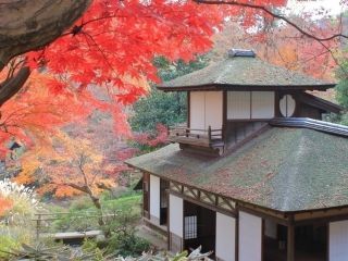 三溪園の紅葉写真２