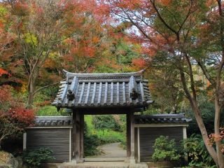 三溪園の紅葉の写真４