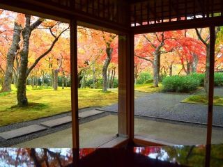箱根美術館の紅葉写真２