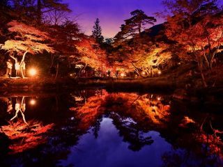 弥彦公園もみじ谷の紅葉の写真４