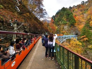 黒部峡谷の紅葉の写真４