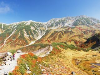 立山室堂平の紅葉の写真３