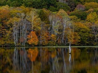 戸隠高原「鏡池」の紅葉写真２