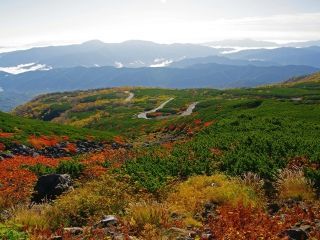 乗鞍高原の紅葉写真２