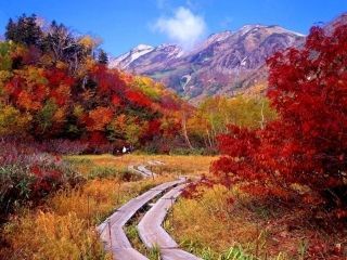 栂池自然園の紅葉写真１